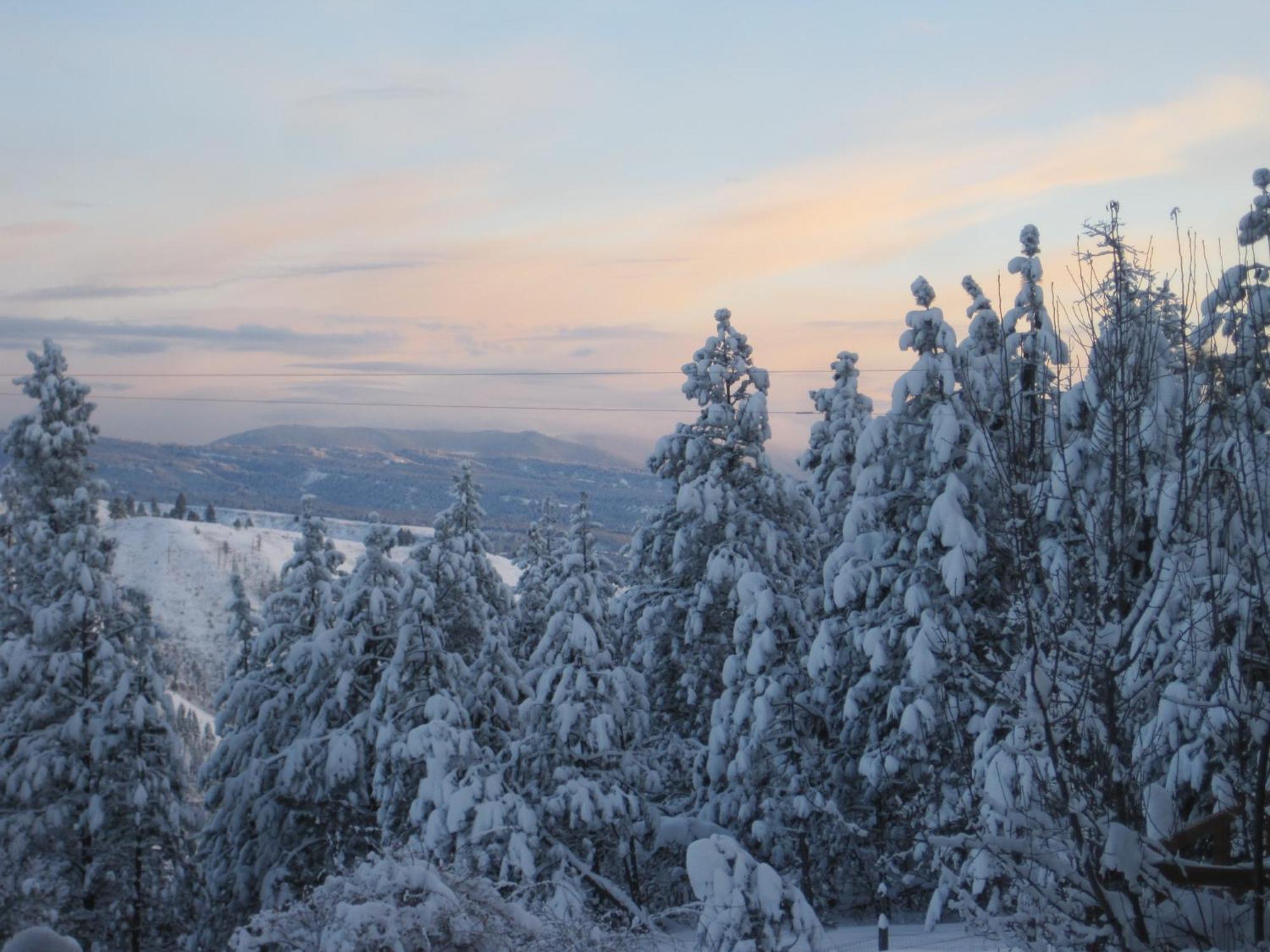 Whitebird Summit Lodge Grangeville Eksteriør bilde